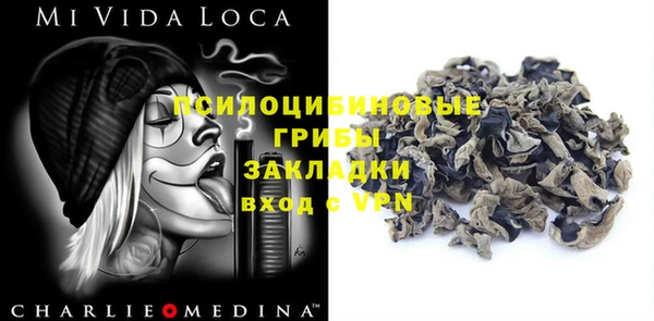 стаф Белоозёрский