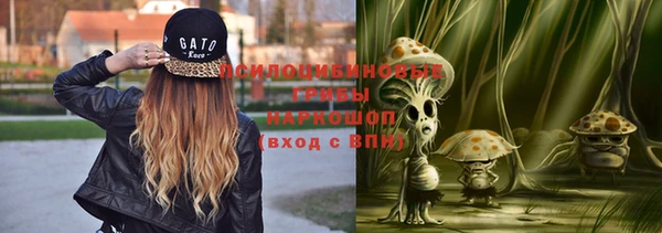мяу мяу мука Белокуриха