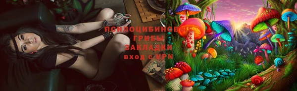 мяу мяу мука Белокуриха