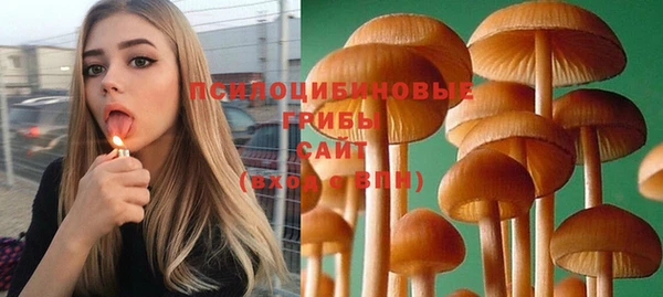 мяу мяу мука Белокуриха