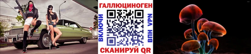 OMG зеркало  Курильск  Галлюциногенные грибы GOLDEN TEACHER 